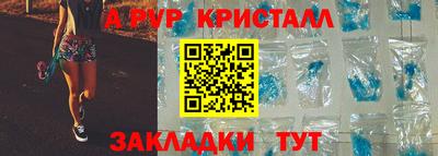 прущие грибы Камышлов